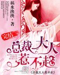 总裁大人,惹不起